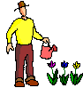man watering the flowers   animation