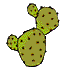 cactus  animation