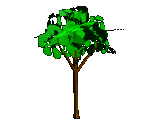 3d tree  animation