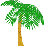 waving palm tree   animation
