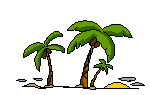 palm trees blowing in the wind   animation