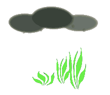 rain cloud  animation
