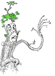 tree  animation