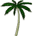 palm tree   animation