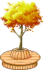 autumn tree and seat  animation
