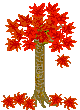 autumn trees  animation