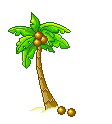 coconut tree tree  animation