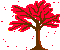 red tree  animation