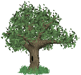 old tree  animation