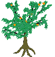 orange tree  animation