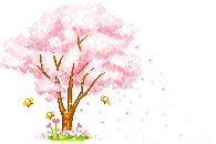 pink blossom tree  animation