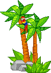  parrot up a palm tree animation