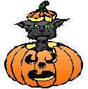  black cat in a pumpkin    animation