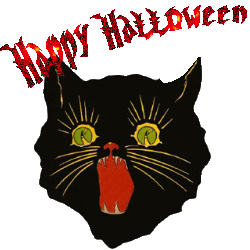 halloween cat  animation