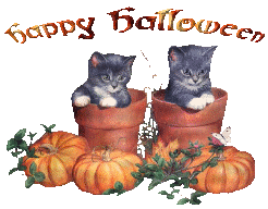  Kittens and pumpkins  animation
