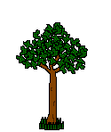 ghost in a tree  animation