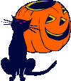  black cat and pumkin  animation