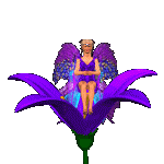 purple  fairy animations