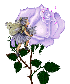 fairy and a lilac rose animations
