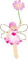 pink flower fairy animations
