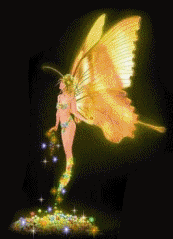 golden fairy  animations